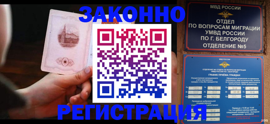 прописка 2025 в Людиново